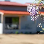 Village * سيكيا