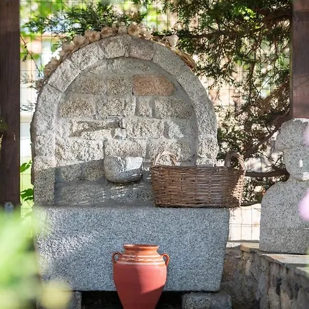 Village Vilă *