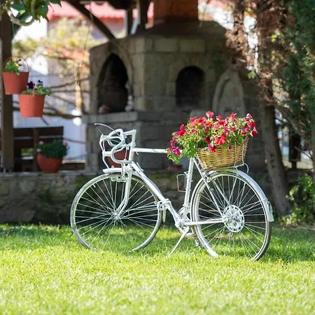 Village Vilă *